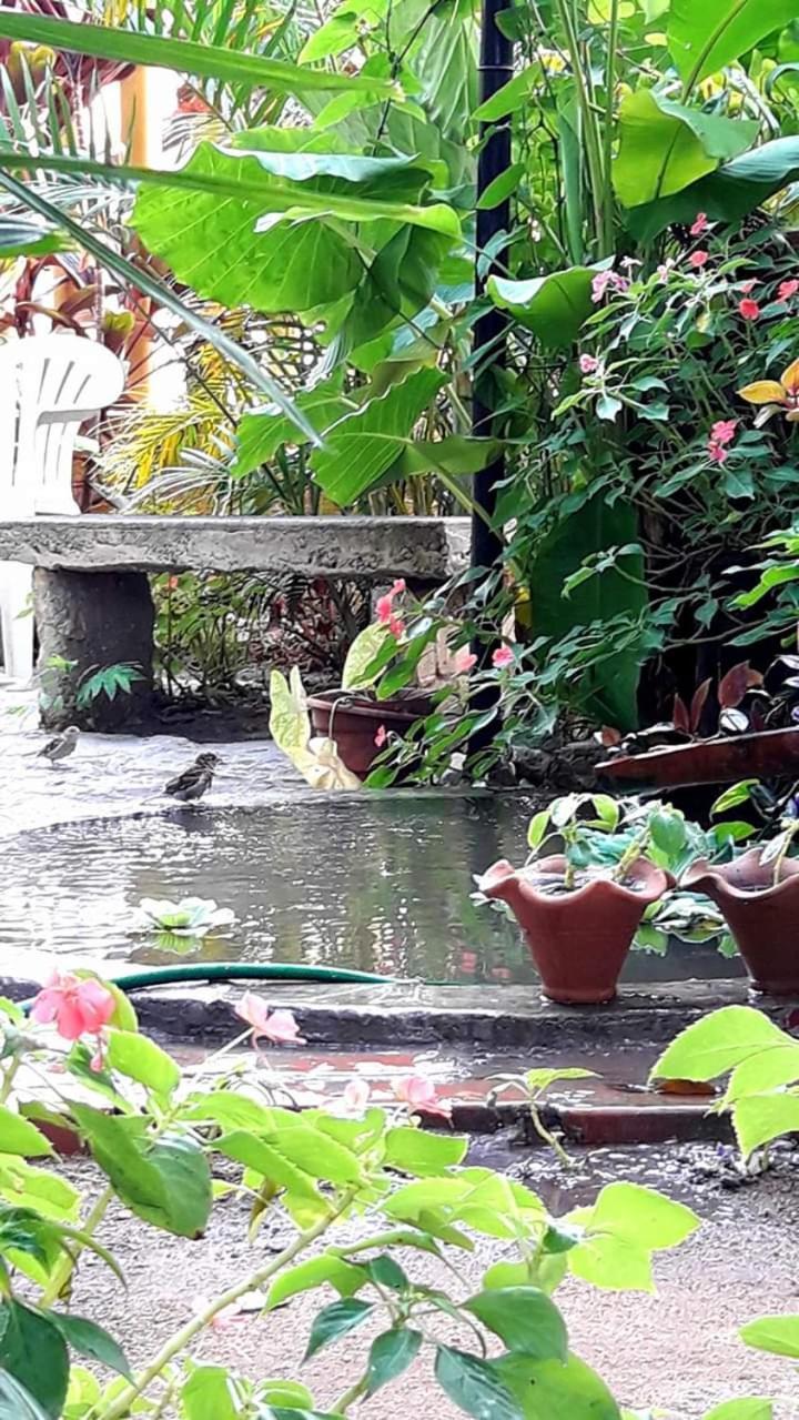 Pousada Brumar Rio de Janeiro Buitenkant foto